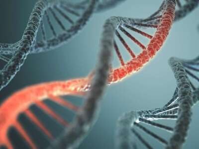 DNA poznáme najmä ako molekulu, ktorá uchováva genetickú informáciu v bunkách. Vedci jej však teraz dali úplne inú úlohu. Výskumníci z Penn State ...